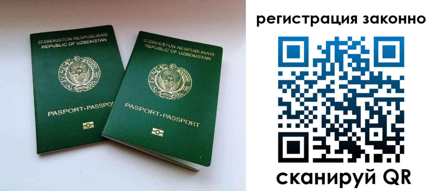 прописка гарантия в Красногорске